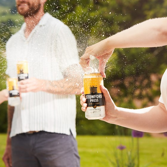 Stowford Press