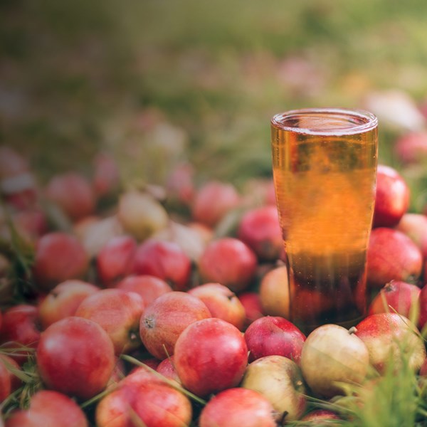Westons Passion Header Background