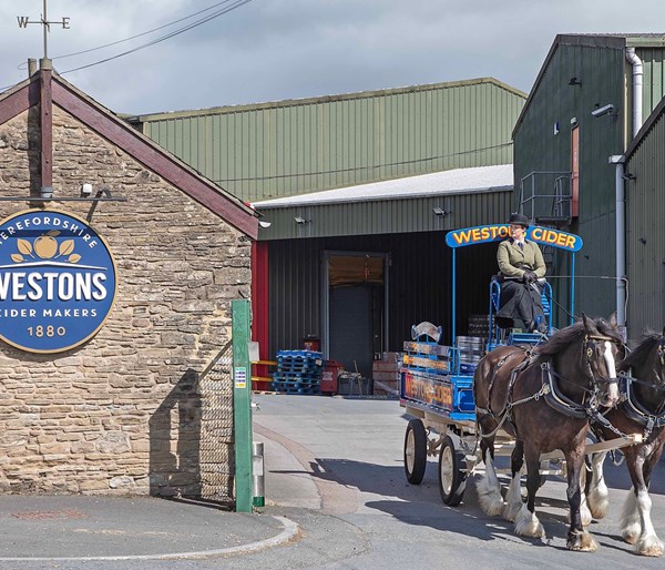 At The Cider Mill, Photo Credit John Styles