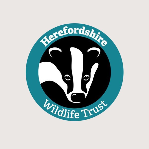 Wildlife Trust