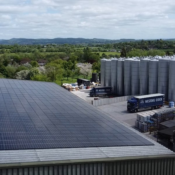 Dji Export 1652444714473
