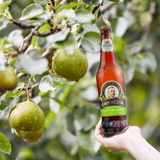 Henry Westons Vintage Pear 