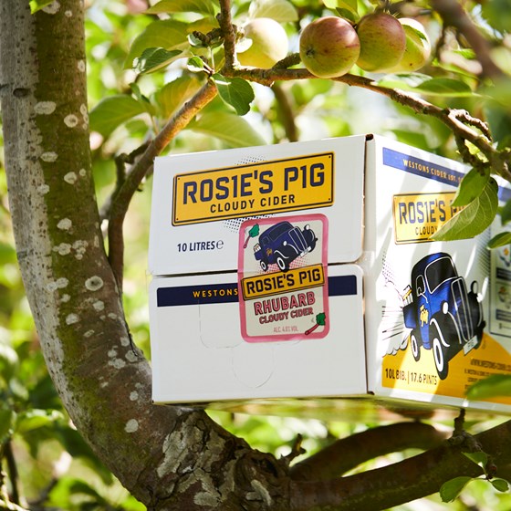 Rosie's Pig Cloudy Rhubarb Cider