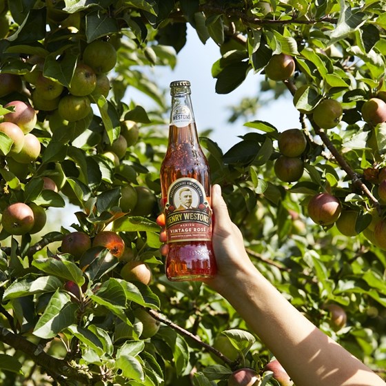 Henry Westons Vintage Rose