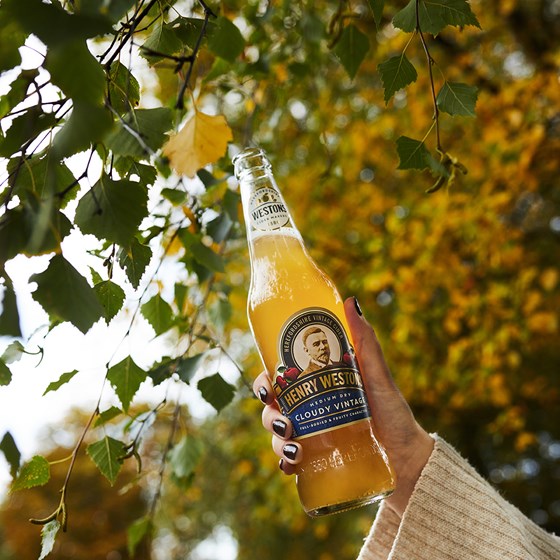 Henry Westons Cloudy Vintage