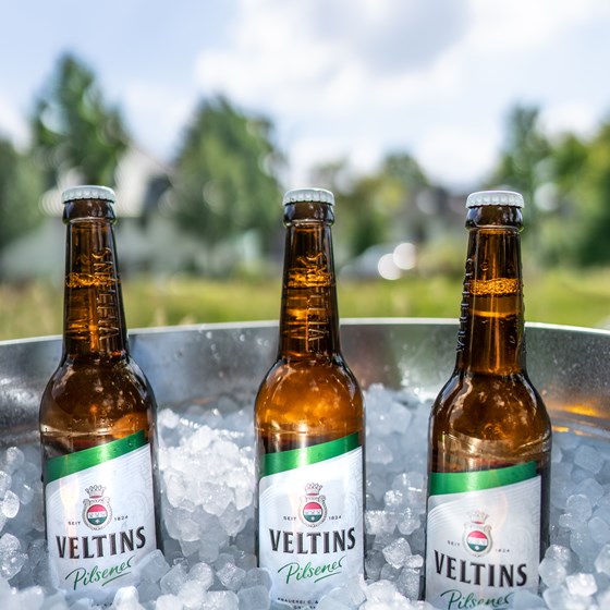 Veltins Pilsener