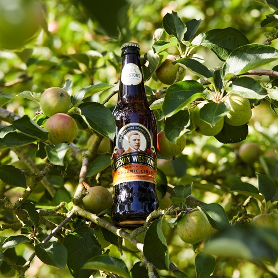 Henry Westons Organic